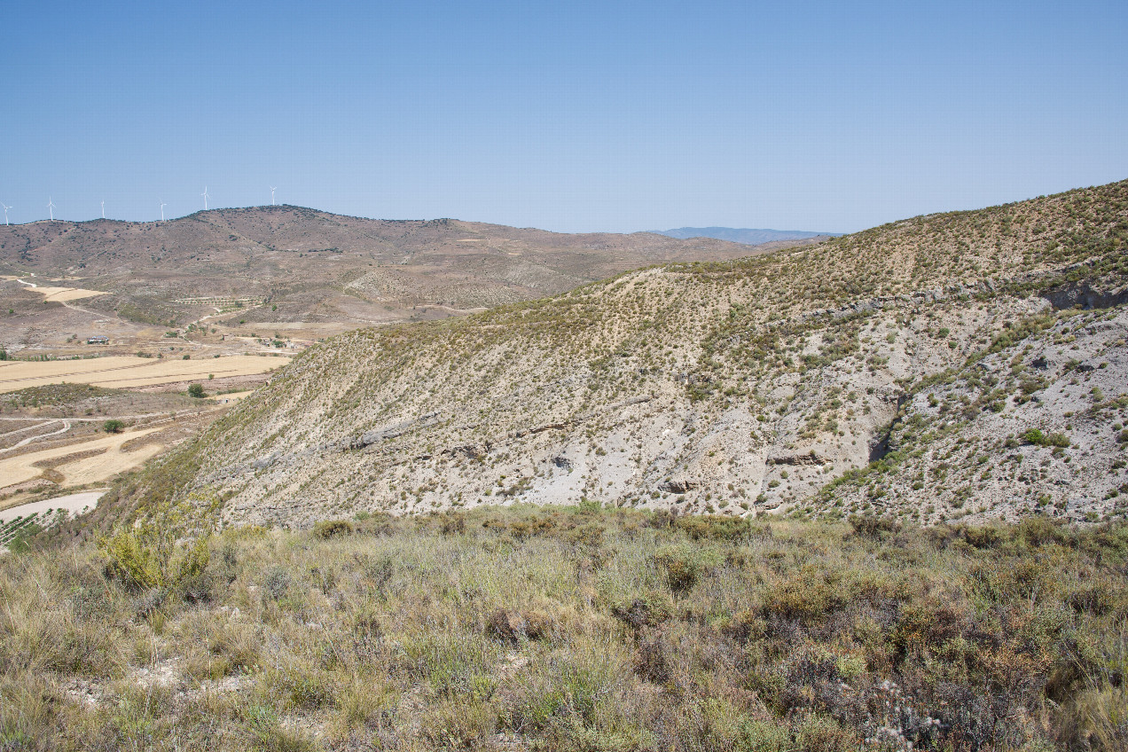 The confluence point lies in scrub-covered land, at the end of a small ridge.  (Here is also a view to the North.)