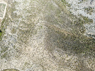 #7: Looking down on the point from a height of 120m