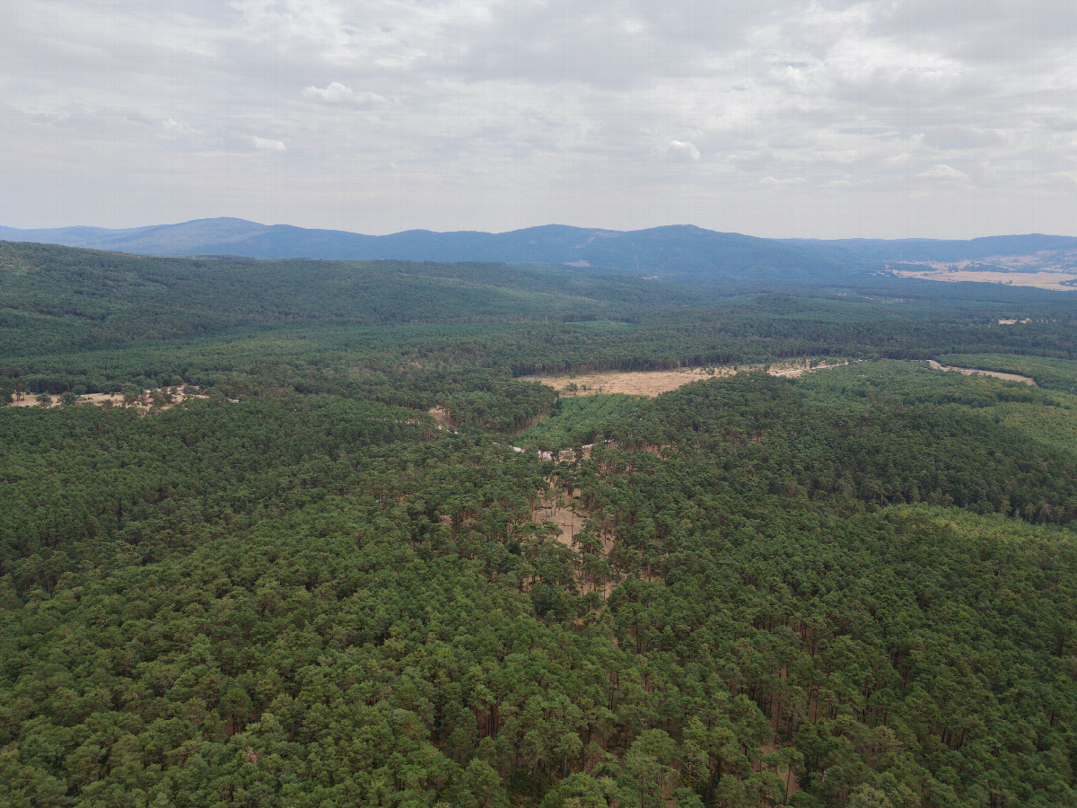 View South, from 120m above the point