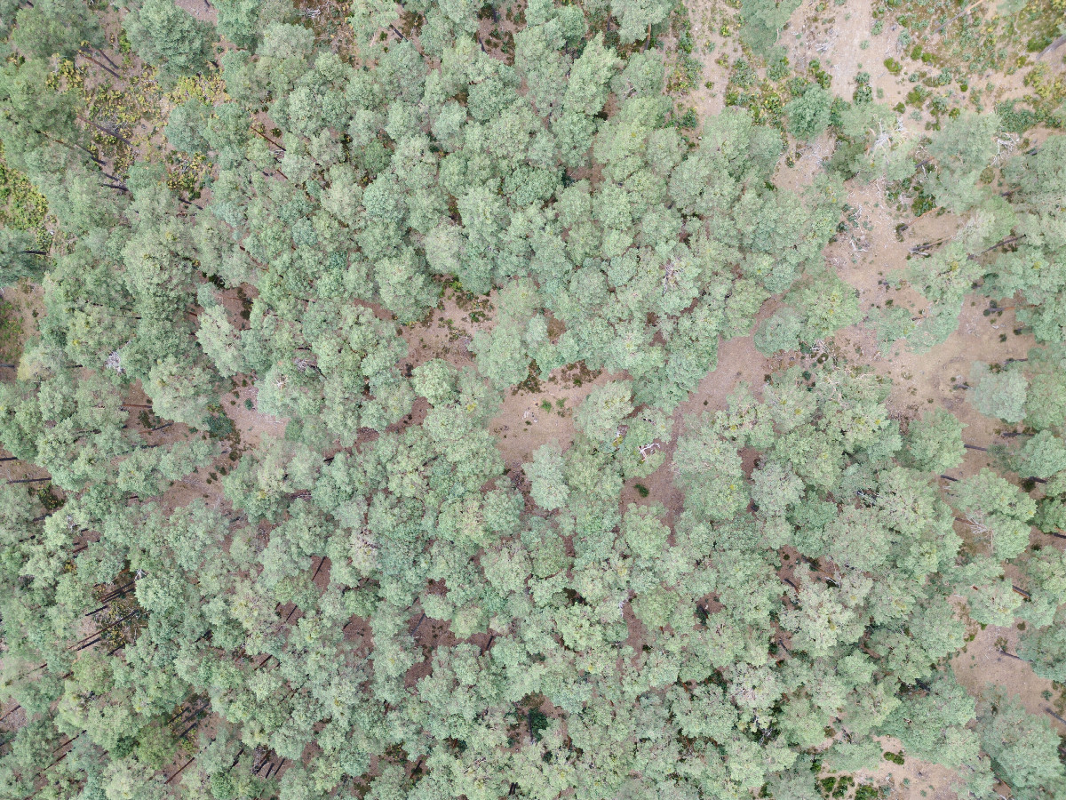 Looking down on the point from a height of 120m