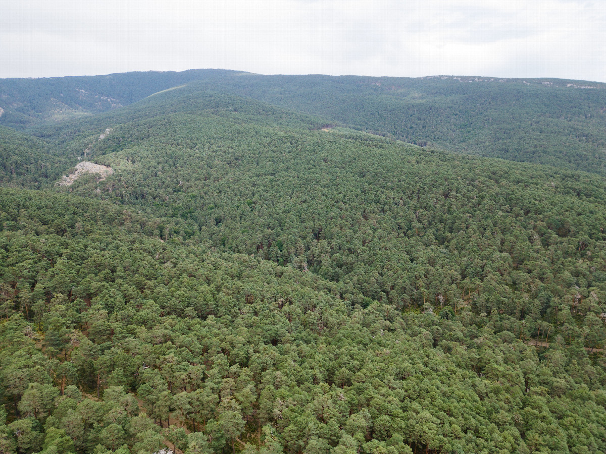 View East, from 120m above the point