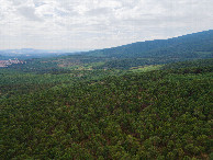 #11: View West, from 120m above the point