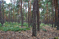 #3: View South