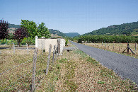 #2: View North (from 80m East of the point)