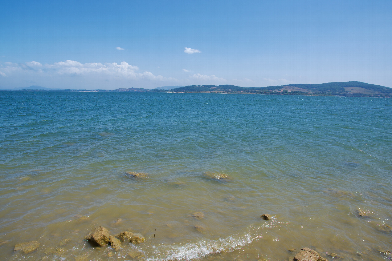 Looking Southeast from the shoreline towards the confluence point, 245m away