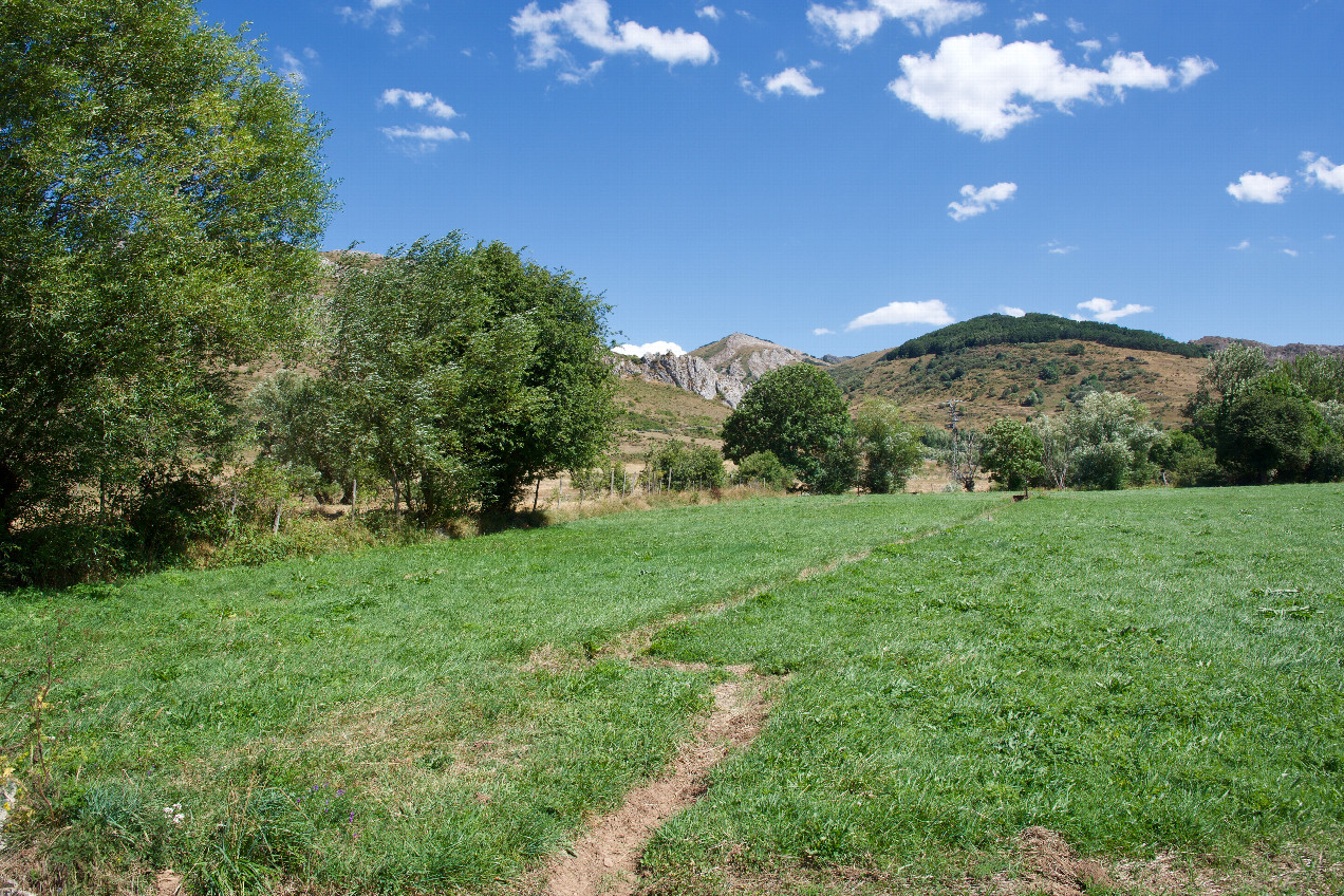 The confluence point lies in a small farm field.  (This is also a view to the East.)