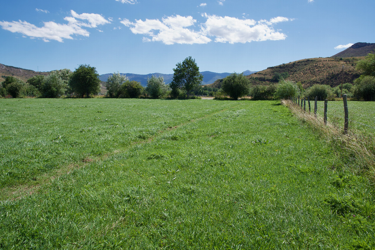 View South (towards the gravel road, 65m away)