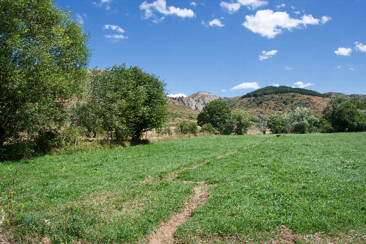 #1: The confluence point lies in a small farm field.  (This is also a view to the East.)