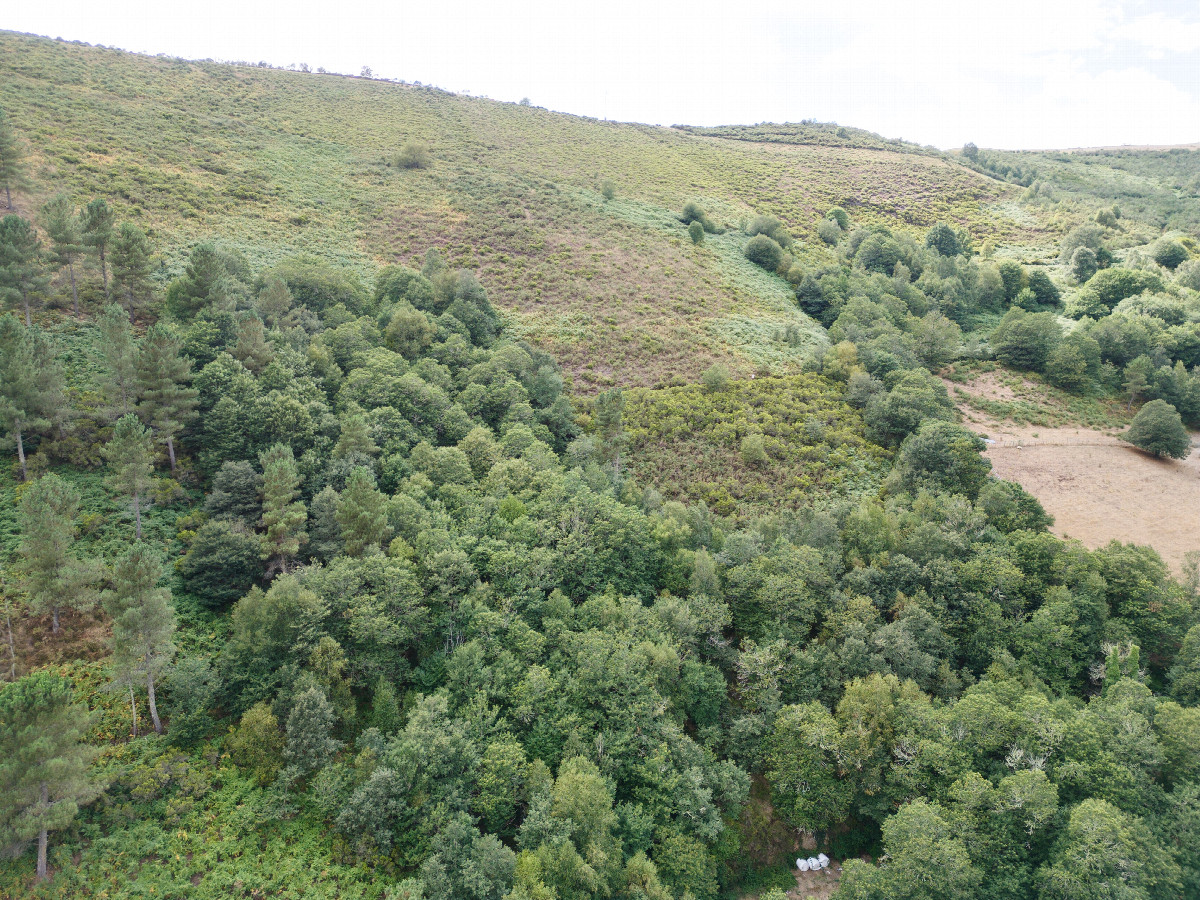 View West, from 120m above the point