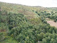 #11: View West, from 120m above the point