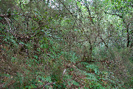 #2: View North