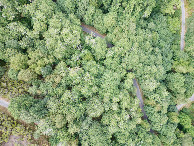 #7: Looking down on the point from a height of 120m