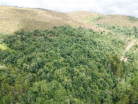 #9: View East, from 120m above the point