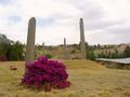 #4: Historical stele in Axum