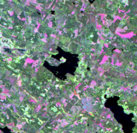 Satellite image of the lake, courtesy of Marcus.