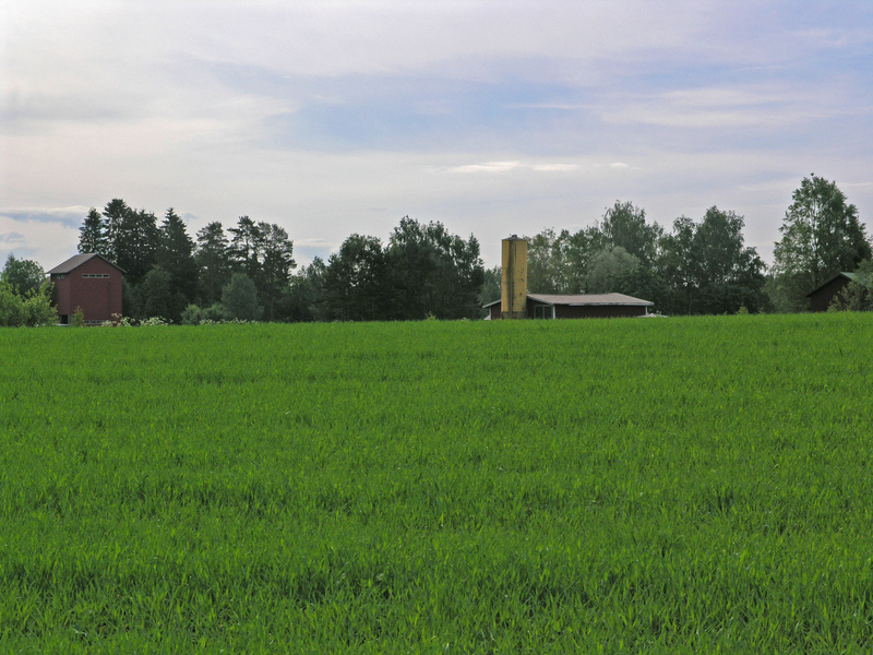 The closest farm buildings, seen from the point