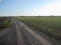 #6: A field very near to the confluence point
