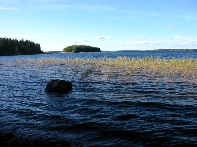 Lake Keitele - 30 metres from confluence.