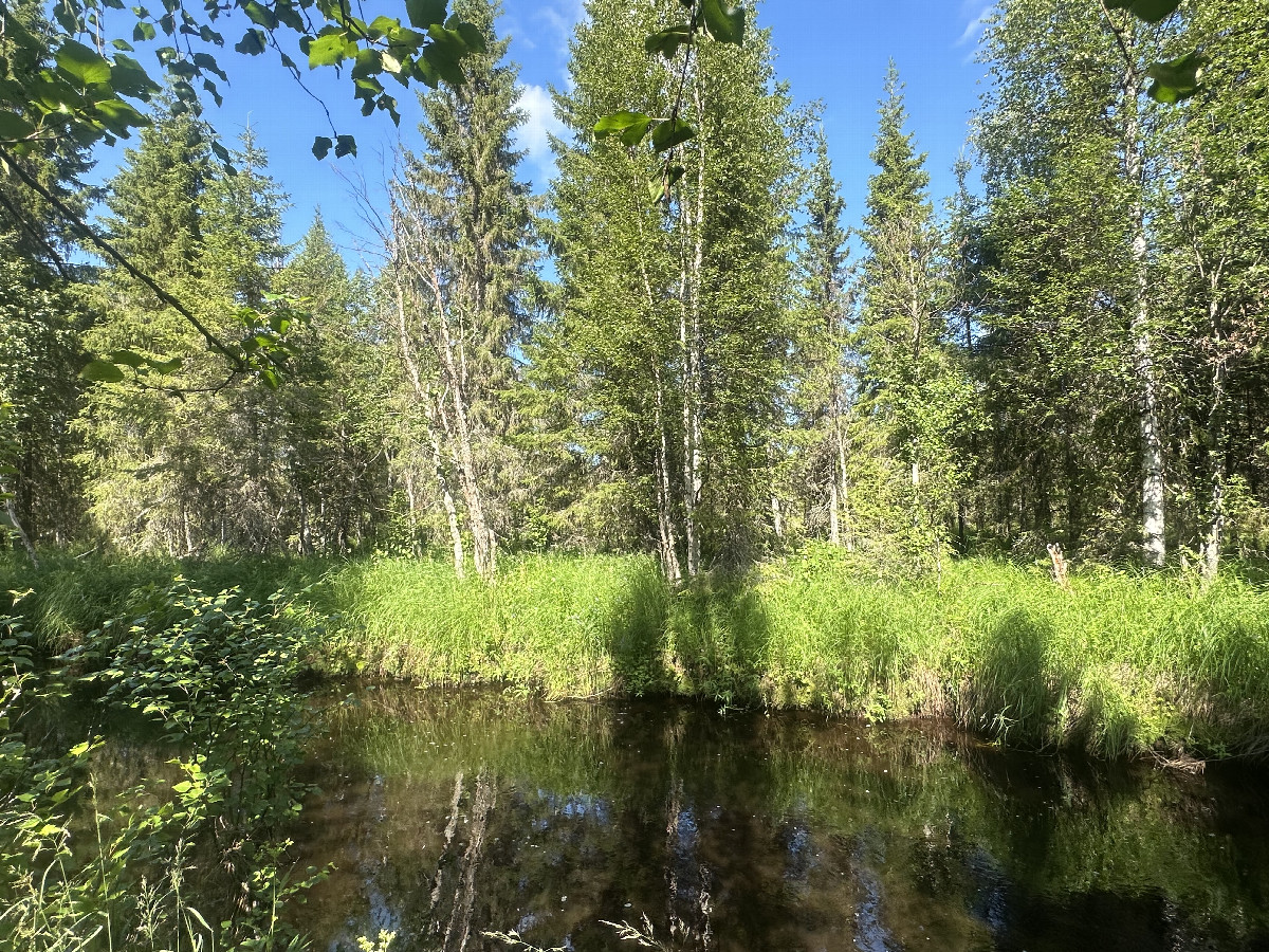 The Confluence from 31m Distance