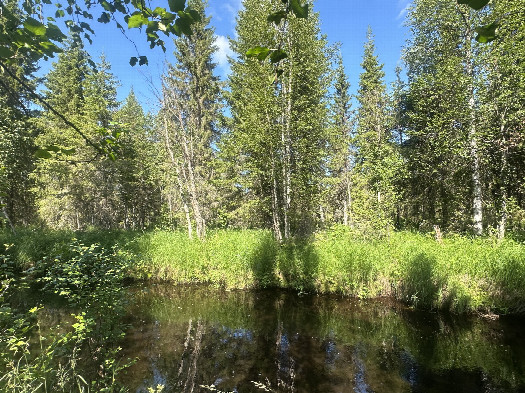 #1: The Confluence from 31m Distance