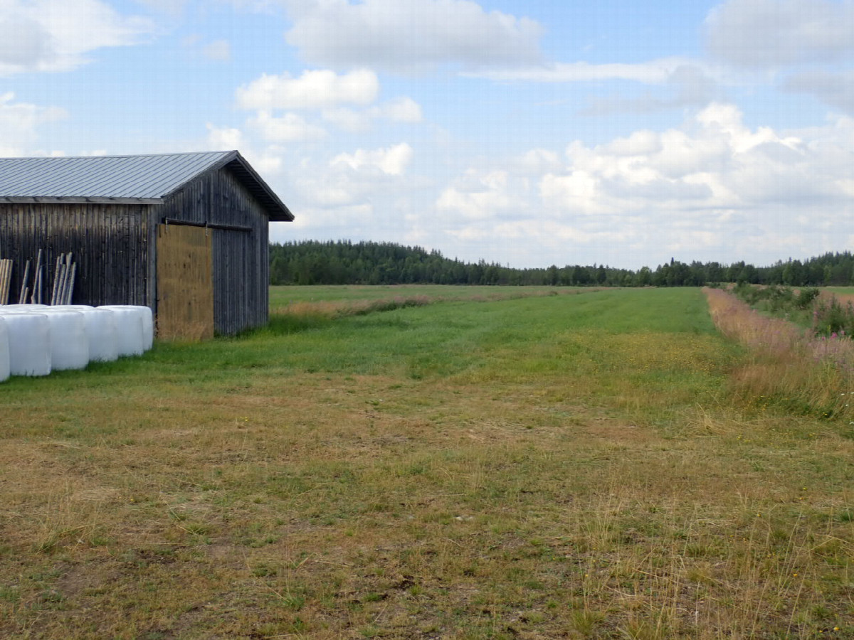 Startingpoint to the Way / Startplatz zum Punkt