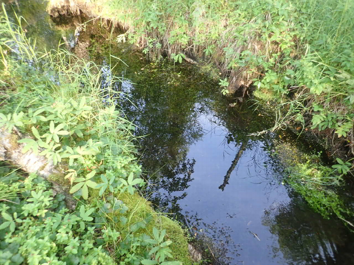 Smal River crossing on half way / Kleine Flußdurchquerung