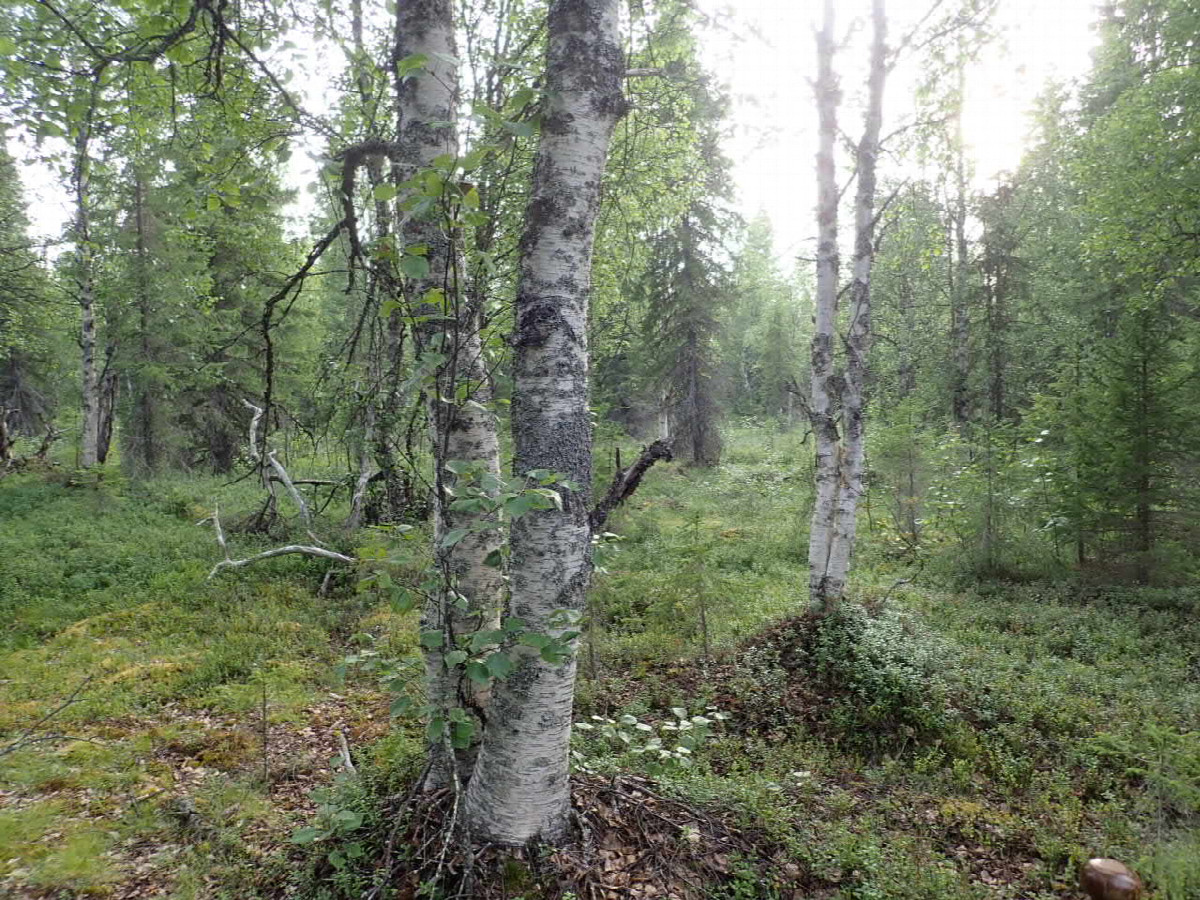 West view / Westliche Sicht