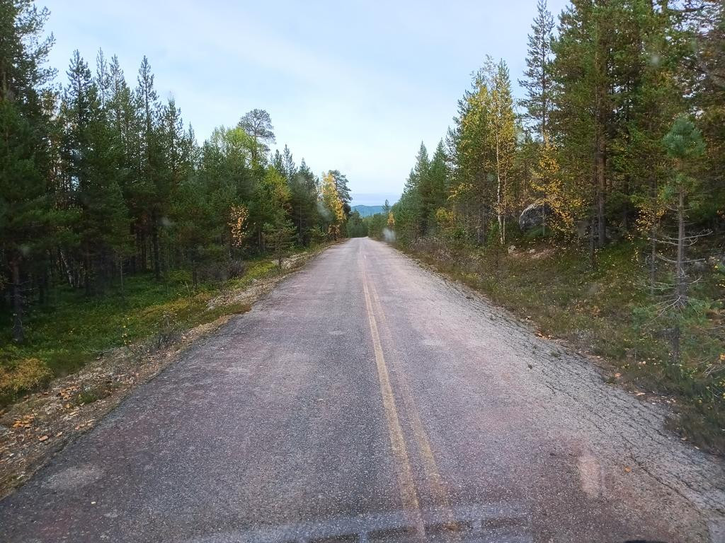 forest track with road markings
