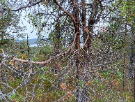 #2: Osten; view east