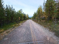 #7: forest track with road markings