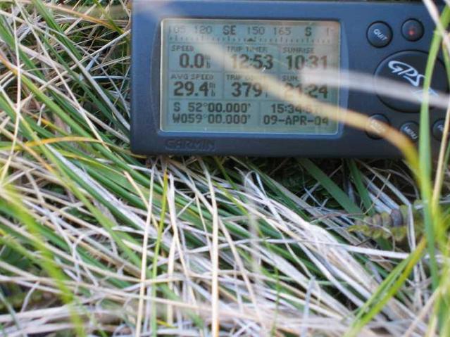View of the GPS at confluence