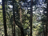#2: View to the north