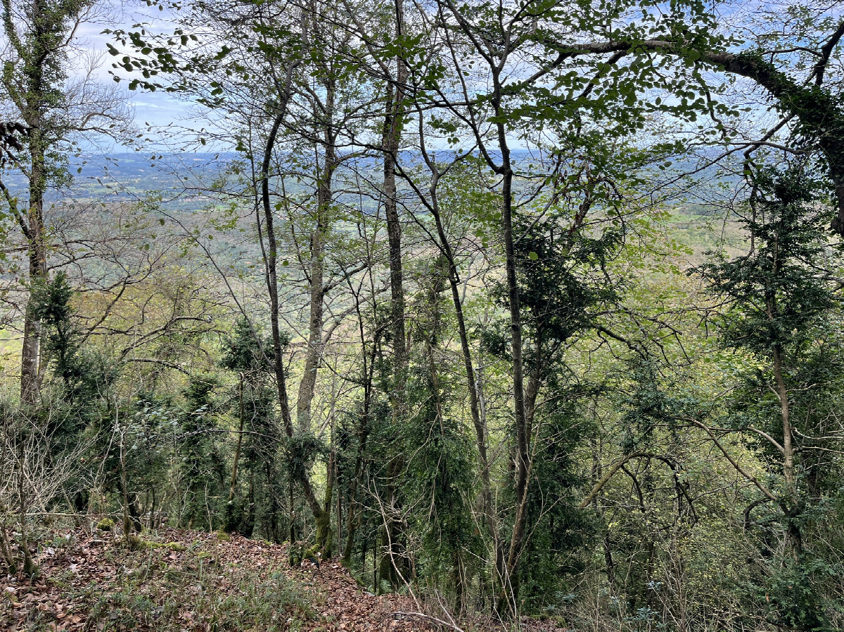 View to the north