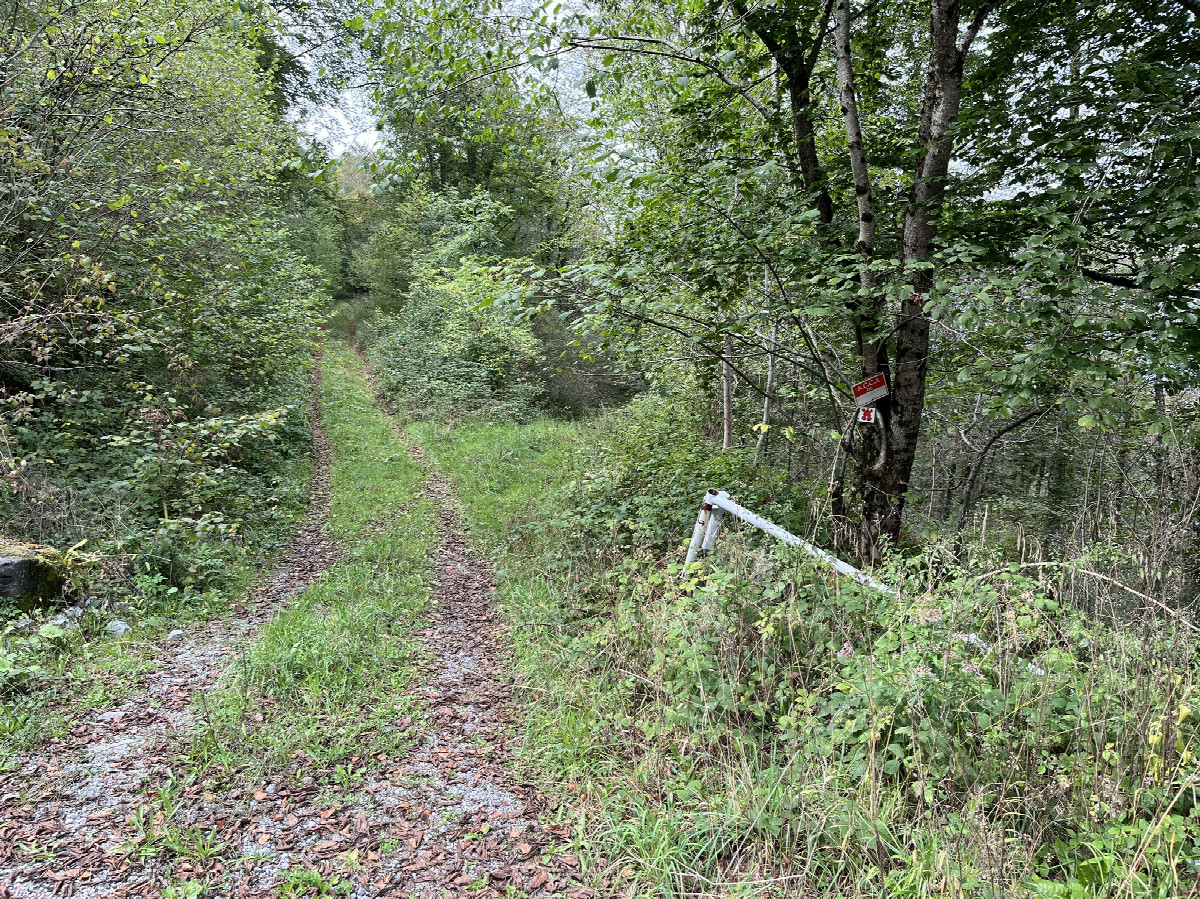 At altitude 932m, the path I took (not the one on the left but the barely visible one on the right)