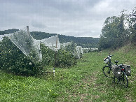 #7: My bicycle waiting