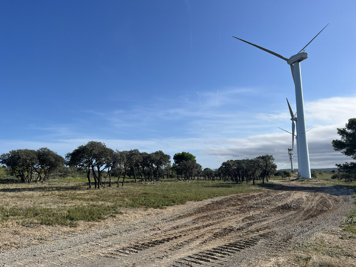 View from 70m NE towards the CP