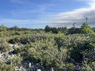 #4: View to the south