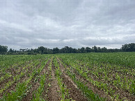 #2: View to the north