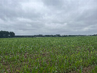 #3: View to the east