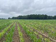 #4: View to the south