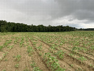 #2: View to the north