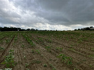 #4: View to the south
