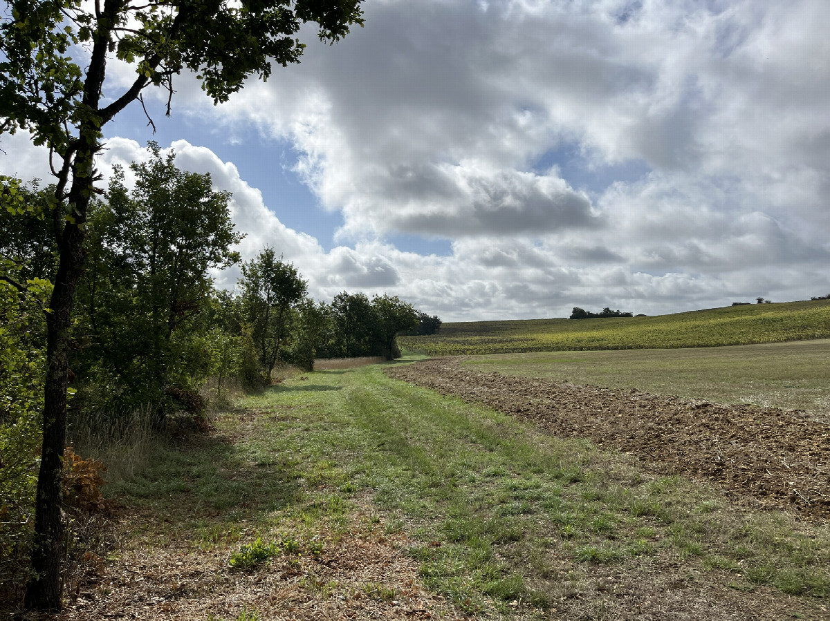 View from the path (90m ENE) towards the CP