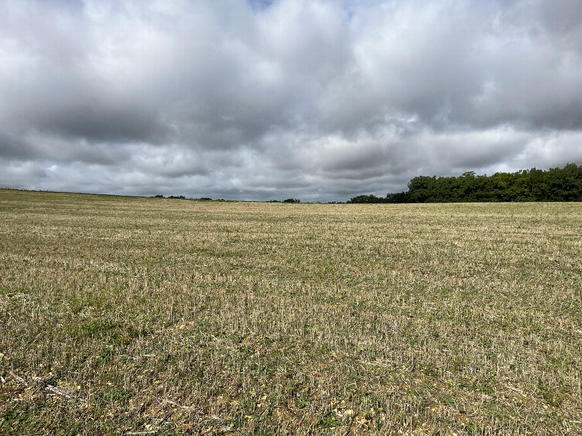 View to the west