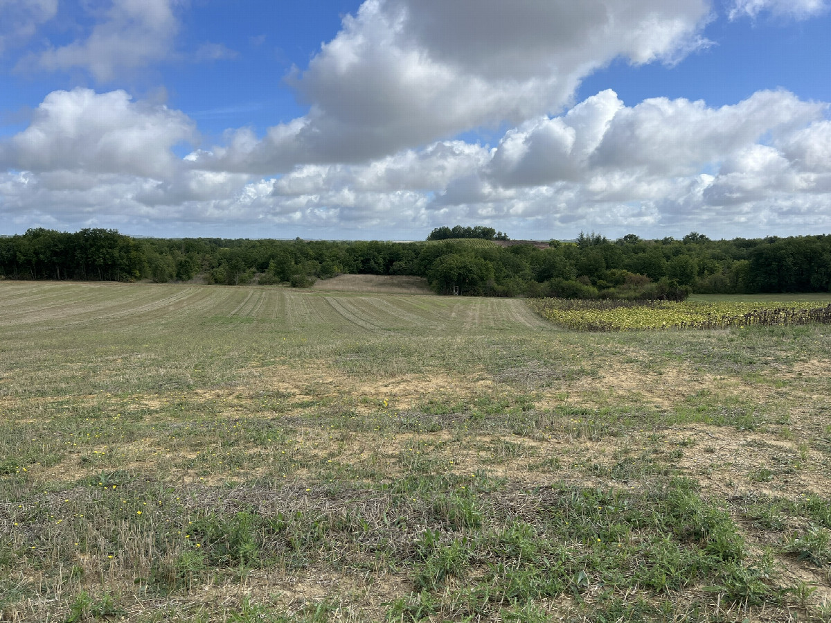 View from the road (120m SW) towards the CP on my way back