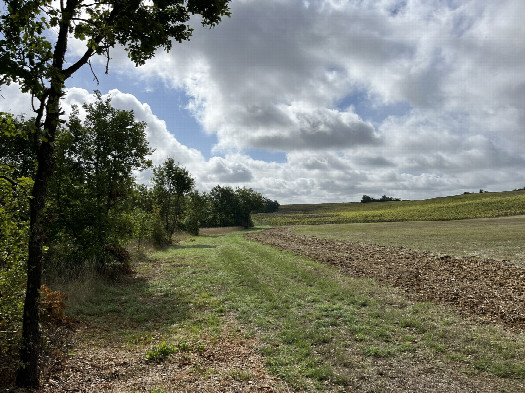#1: View from the path (90m ENE) towards the CP