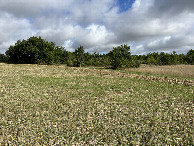 #2: View to the north
