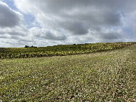 #4: View to the south