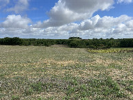 #8: View from the road (120m SW) towards the CP on my way back