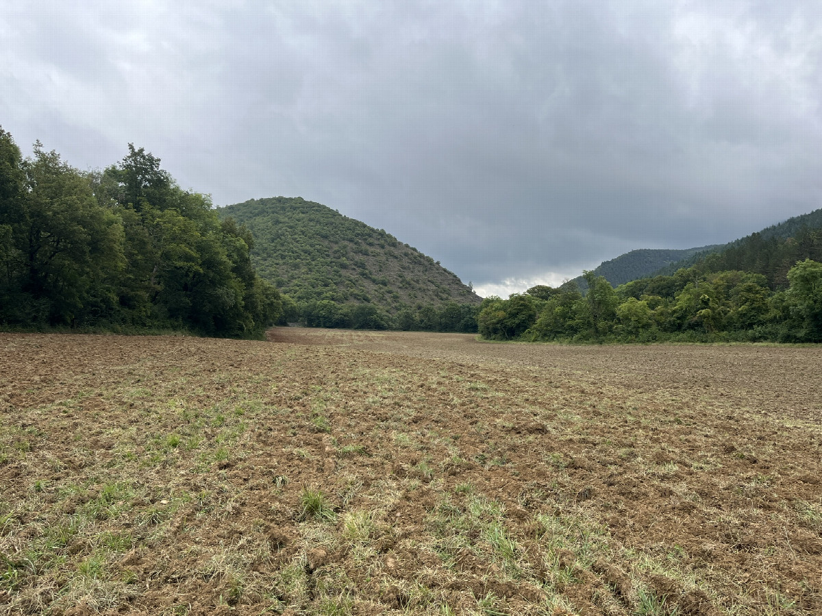 View to the east